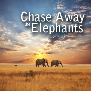 Chase Away The Elephants